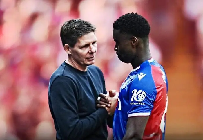 自切尔西青 自切尔西青