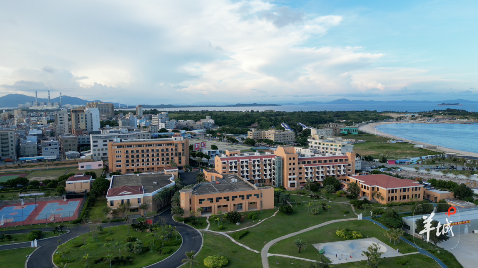 目前战绩为, 共出场 目前战绩为, 共出场